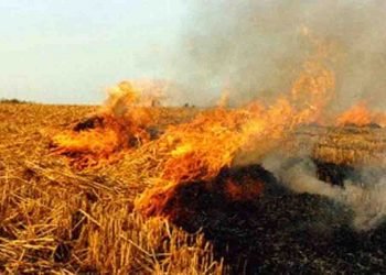 सरकार पराली जलाने पर फैसला वापस लें नहीं तो मंत्री के आवास पर जलाएंगे पराली : पप्पू यादव