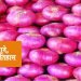चार हजार साल पुराना है ‘प्याज’ से इंसानों का ‘प्यार’