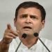 Rahul Gandhi, Dabba Jan, Pappu , rahul Gandhi Dabba Jan, Twitter troll, Rahul gandhi huye troll, Bihar lettest news, Bihar update, bihar khabar,