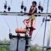 हाई वोल्टेज ड्रामा : शादी की जिद को लेकर लड़की चढ़ी ट्रांसफरमर पर, कहा नहीं हुई शादी तो देंगे जान