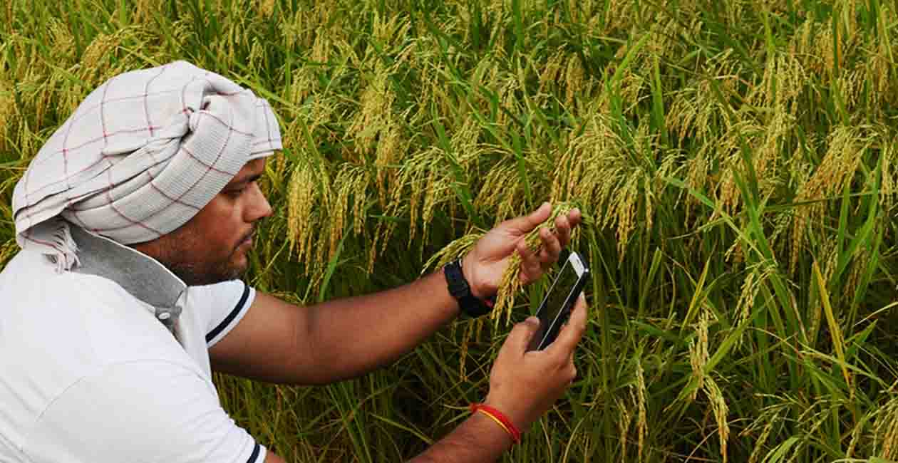 Kisan, Pm Kisan, Bihar, Bihar news, Bihar lettest update, Bihar update