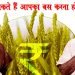 सिर्फ ये तीन कागज जमा कीजिये और सरकार आपके खाते में देगी 6000 रूपये : जानिये डिटेल में