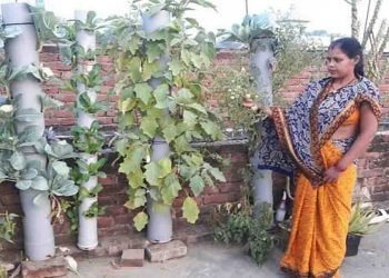बिहार की ये महिला किसान बाँस और पाइप में उगा रही हैं सब्जियाँ, दुसरों को भी बना रही आत्मनिर्भर
