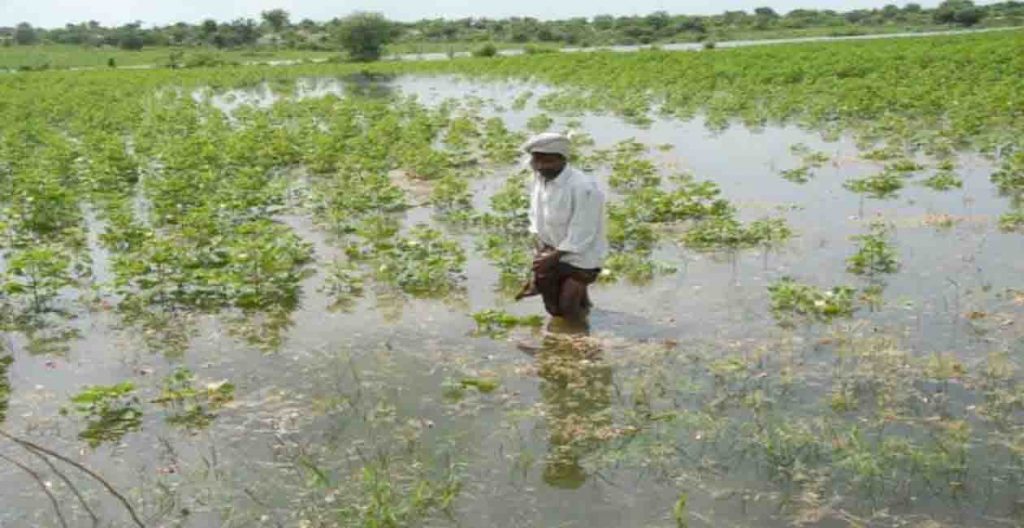 Bihar, Kisan, Baadh, Fasal Barbar, Fasal Doob Gaya, Bihar me baadh, Flood in bihar, Help Flood victims, Bihar news, Bihar samachar