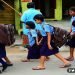 Govt School, Bihar, Bihar news, Bihar lettest update, Bihar breaking news, Mithila news, Darbhanga news