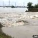 Baadnh Tuta, Bihar, Bihar me baadh, Bihar Flood, Flood in Bihar