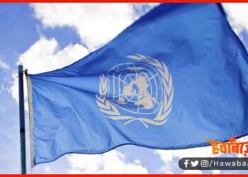 Unceso, china, India, ECOSOC , India win