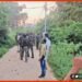 Jan Jan Party, Bawal, Bihar Chunav, Bihar Election, Bihar Election 2020, Bihar Khabar, Bihar Hindi news, Bihar hindi uipdate,