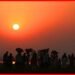 Chhath Parv, Chhath Puja, Bihar Chhath, Chhath 2020, Chhath Parv,
