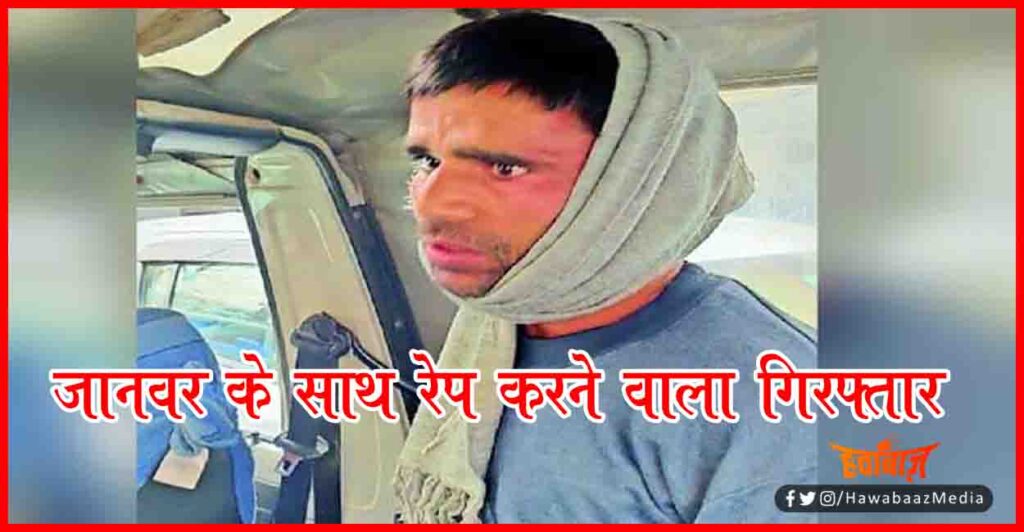 Rape, Dog Rap, Bihar, Patna, Patna News, Bihar News, Hindi news, Lettest Hindi News, Lettest Bihar News, Bihar Update, 