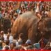 Sonpur Mela, Sonpur Mela Theater, Shobha Samrath Theater,