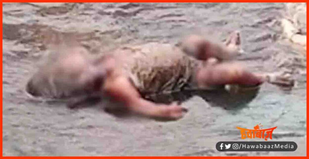 Baby Girl Killed by mother, Baby girl found dead, Mom Killed baby girl, Bihar news, Bihar hindi news, Bihar lettest news, Bihar update, Bihar khabar, Bihar hindi news, 