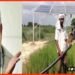 Deasel Anudan, Bihar me dijal anduan band, Nitish kumar closed dijal anudan, Bihar farmer, Farmer protest, Bihar news, Hindi news, Bihar hindi news,