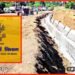Bihar Contractor, Bihar Ke Thekedar, Contract in Bihar get ban, 1500 Contractor ban in bihar, Bihar news, Bihar khabar, Bihar lettest udpate, bihar khabar, Bihar news, Bihar update,
