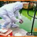 Ganga Nadi ka Corona Test, Ganga ka Corona test, Ganga me Corona sankramiton ki lash, Ganga me lash, Bihar news, ganga me sankramit, Corona news, Ganga news, Biahr hindi news, Bihar hindi samachar, Bihar lettest news, Bihar khabar,