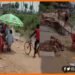 Bihar me Pul ke liye wasooli, Kamchalau pul se paise ki wasooli, Bihar jharkhand jodne wali pul ki keemat badhi, Bihar news, Bihar lettest news, Bihar khabar, Bihar hindi news, Bihar update, Bihar khabar,