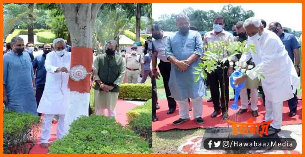 CM Nitish Ne Ped ke sath Manai Rakhi, CM Nitish , Raksha Bandhan Par CM Nitish ka Sandesh, Rakhi par CM ka Sandesh, CM Nitish on Rakshabandhan, Rakhi par cm ka sandesh,