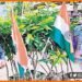Teachers Day Special, Specail Teachers Day, Bihar news, Happy teachers Day, Bihar update, Bihar hindi samachar, Bihar lettest news, Bihar samachar, Bihar khabar, Hindi samachar, Hindi news,