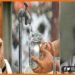 Nal Jal Yojna, Tarkishor Prasad, Nitish Kumar, Nal Jal Yojna me bada ghotala, Bihar news, Bihar lettest news, Bihar update, Bihar khabar, Bihar hindi news, Bihar hindi samachar, Bihar khabar, Bihar lettest news,